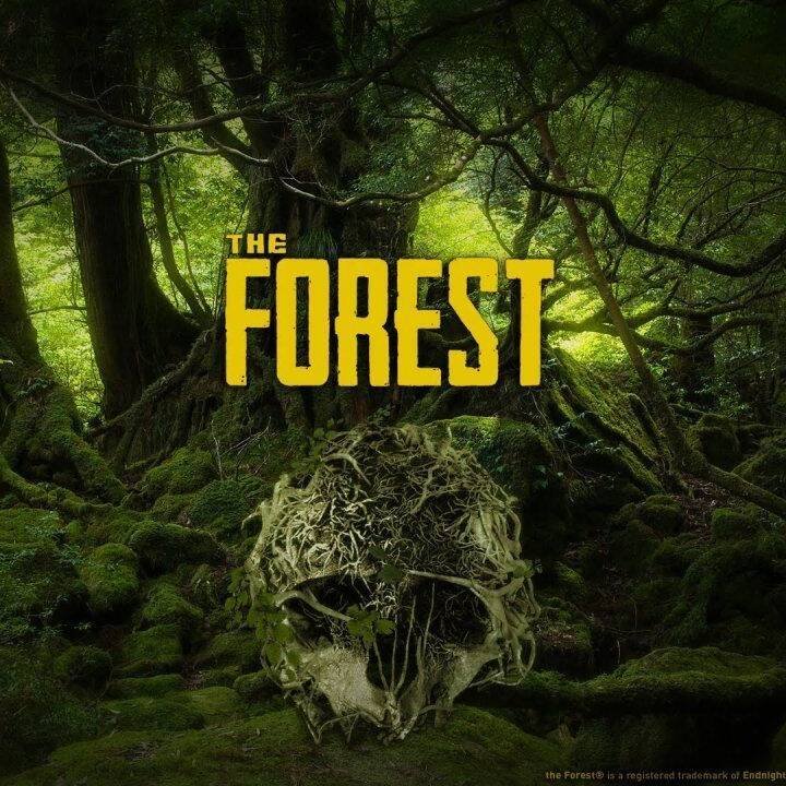 THE FOREST